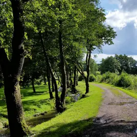 Wandelroute in Aywaille